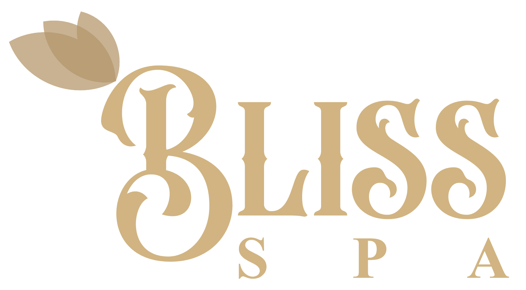 Bliss Spa Cox's Bazar Best Spa Now in Cox's Bazar